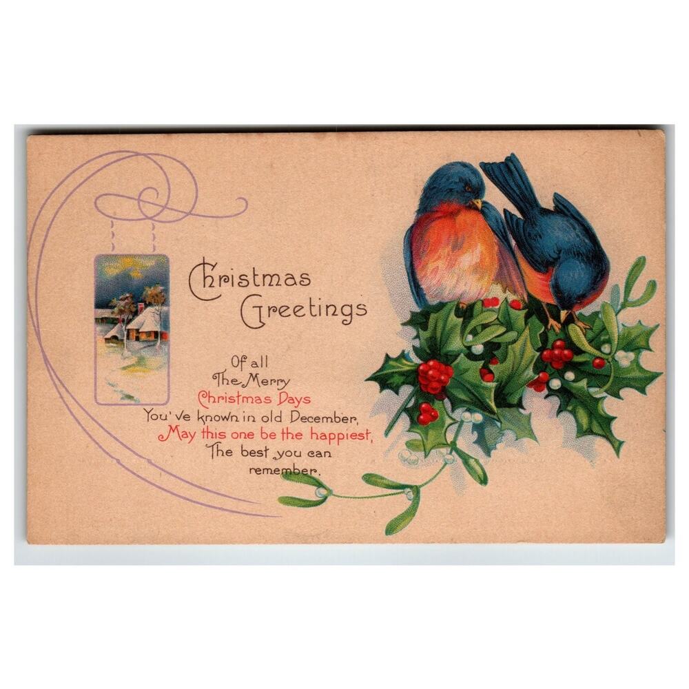 Vintage Christmas Greetings Postcard Birds Holly Mistletoe Snowy Village c1910s